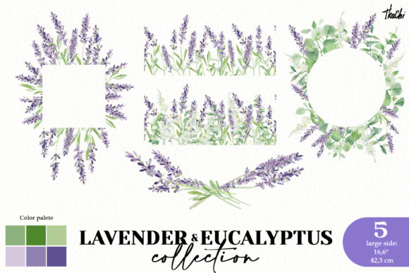 Download Watercolor Lavender and Eucalyptus Png - Eucalyptus png Collection